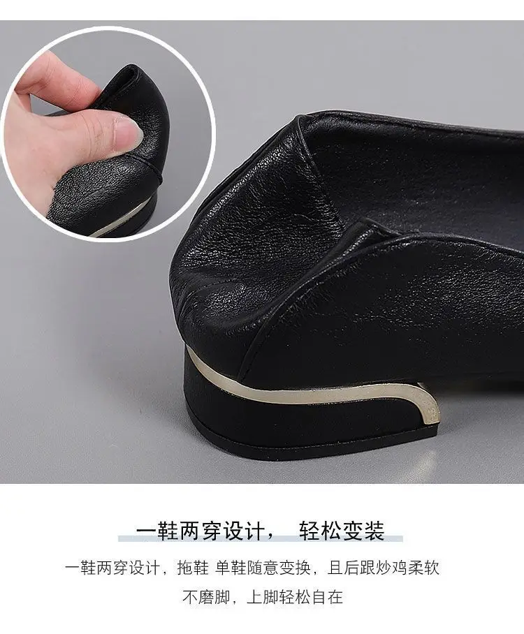 Simple Shallow-Mouthed Chunky Heel Shoes for Women 2026 Spring and Autumn New Pointed Toe Comfortable Low-Heeled Work Shoes Versatile Flat Women's Shoes — feature 1