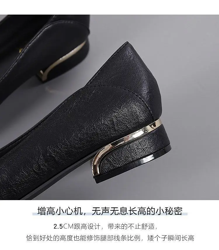 Simple Shallow-Mouthed Chunky Heel Shoes for Women 2026 Spring and Autumn New Pointed Toe Comfortable Low-Heeled Work Shoes Versatile Flat Women's Shoes — feature 2