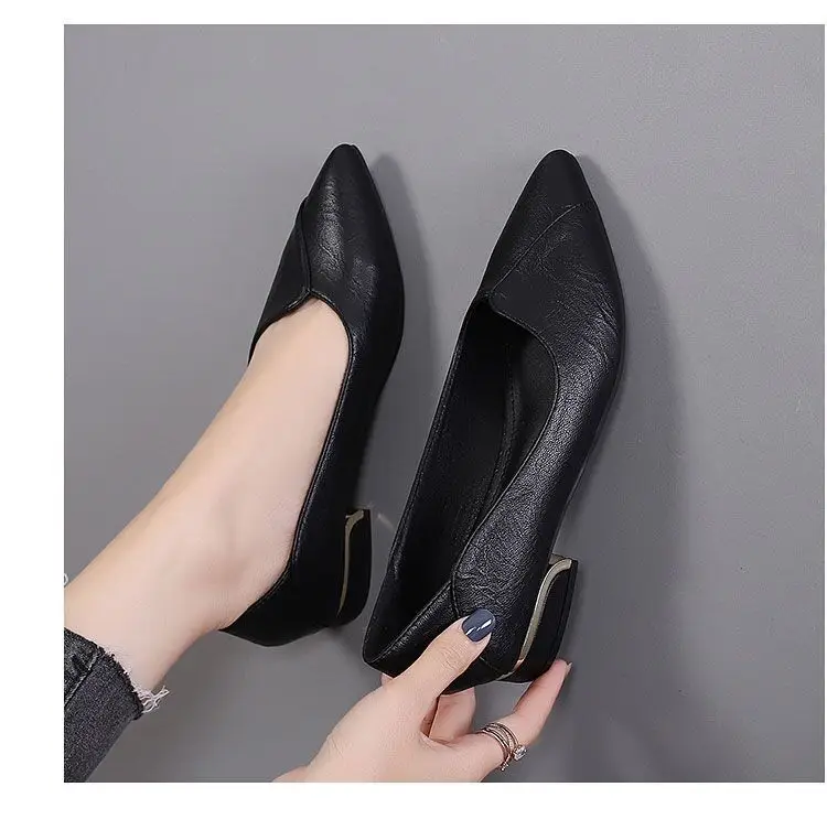 Simple Shallow-Mouthed Chunky Heel Shoes for Women 2026 Spring and Autumn New Pointed Toe Comfortable Low-Heeled Work Shoes Versatile Flat Women's Shoes — feature 8