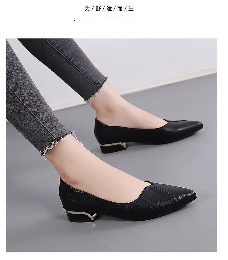 Simple Shallow-Mouthed Chunky Heel Shoes for Women 2026 Spring and Autumn New Pointed Toe Comfortable Low-Heeled Work Shoes Versatile Flat Women's Shoes — feature 9