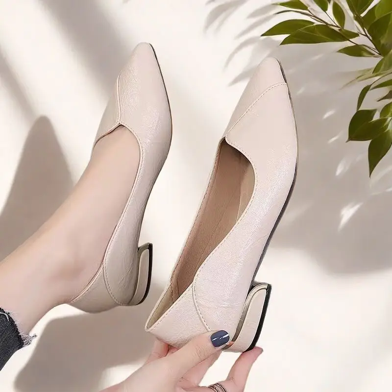 Simple Shallow-Mouthed Chunky Heel Shoes for Women 2026 Spring and Autumn New Pointed Toe Comfortable Low-Heeled Work Shoes Versatile Flat Women's Shoes - Image 2