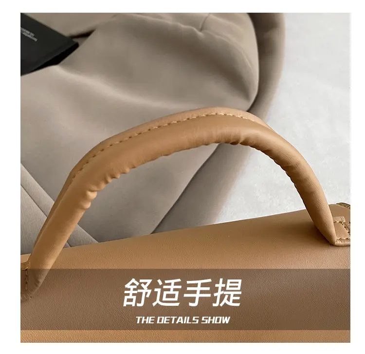 Pink & Beige Lock Bag for Women 2024 — feature 9