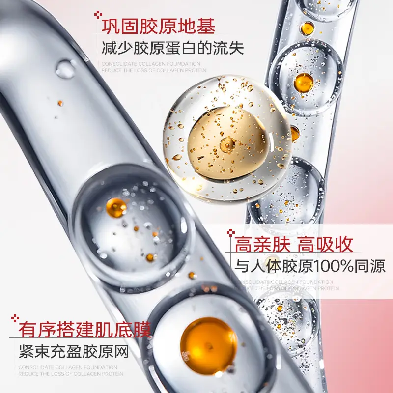 Ogilia Collagen Anti-Eyelid Eye Cream 20ml - Image 4