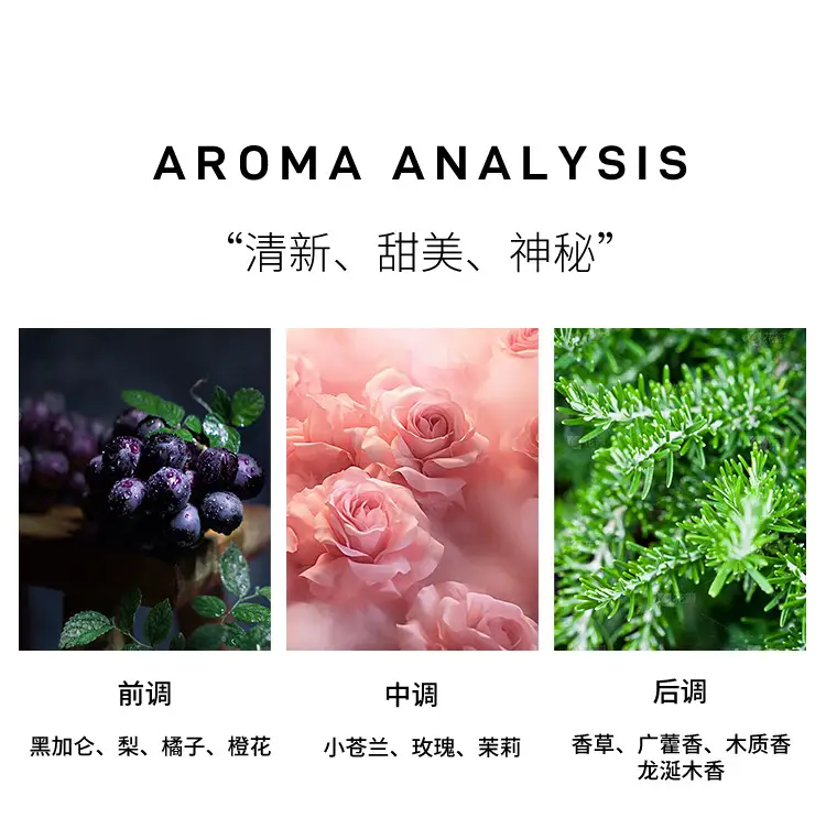 Cross-Border Perfume Eternal Water Women's Perfume Long-Lasting Women's Light Fragrance Foreign Trade Hot Product Perfume Perfume Wholesale — feature 7