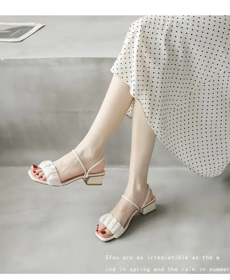 Fairy Style Sandals Women's Summer 2025 New Arrival Thick Heel Cyber Popular French Mid Heel High Heel Two-Wearing Sandals — feature 4
