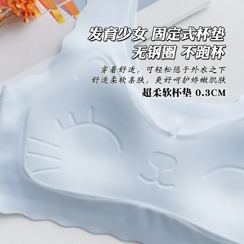 Fixed Underwear Girls Developmental Thin Vest Students Junior High School Students High School Girls No Steel Rings Ice Silk Bra
