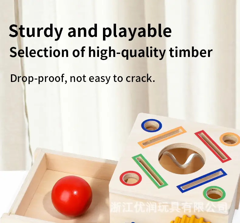Wooden Color Matching Coin Box for Kids 0-3 Years — feature 11