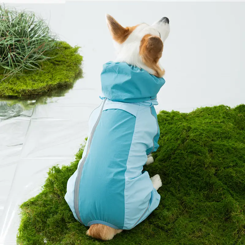 All-inclusive Contrasting Color Corgi Charge Raincoat Medium and Small Dogs Dachshund Four-legged Dog Raincoat Rainy Day Pet Dog Clothes
