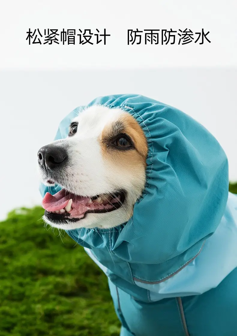 All-inclusive Contrasting Color Corgi Charge Raincoat Medium and Small Dogs Dachshund Four-legged Dog Raincoat Rainy Day Pet Dog Clothes — feature 6