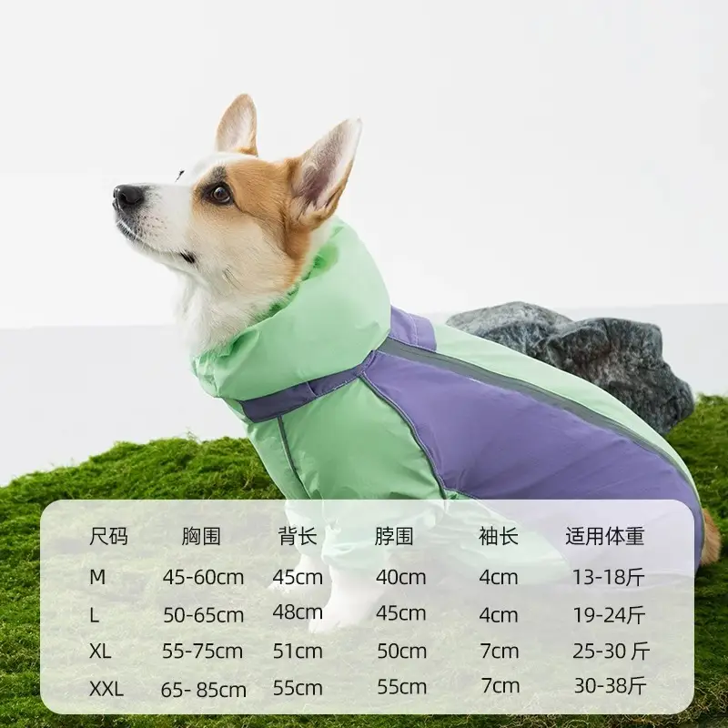 All-inclusive Contrasting Color Corgi Charge Raincoat Medium and Small Dogs Dachshund Four-legged Dog Raincoat Rainy Day Pet Dog Clothes