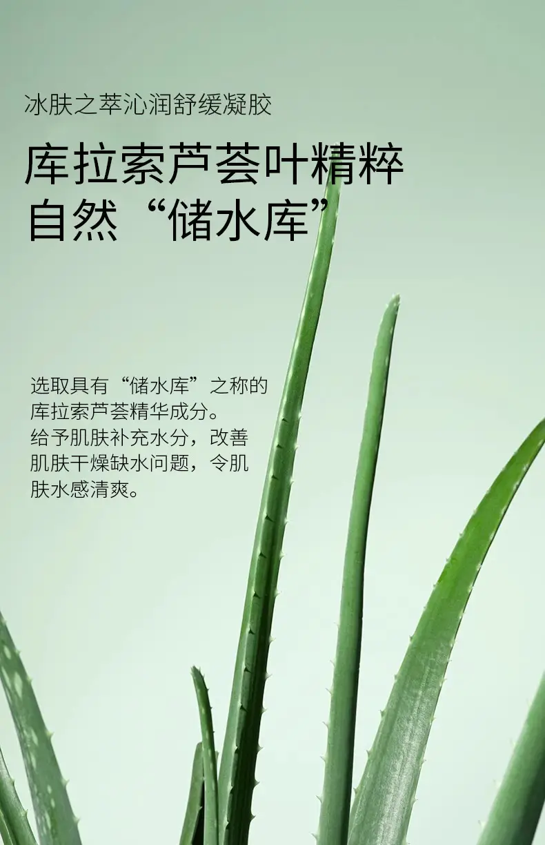 Aloe Vera Gel 300g Hydrating Moisturizer — feature 11