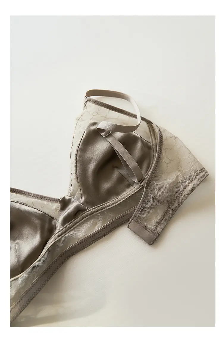 Summer New Style Mulberry Silk Non-steel Ring French Triangle Cup Bra Real Silk Thin Real Silk Underwear Women's Comfortable Bra — feature 10