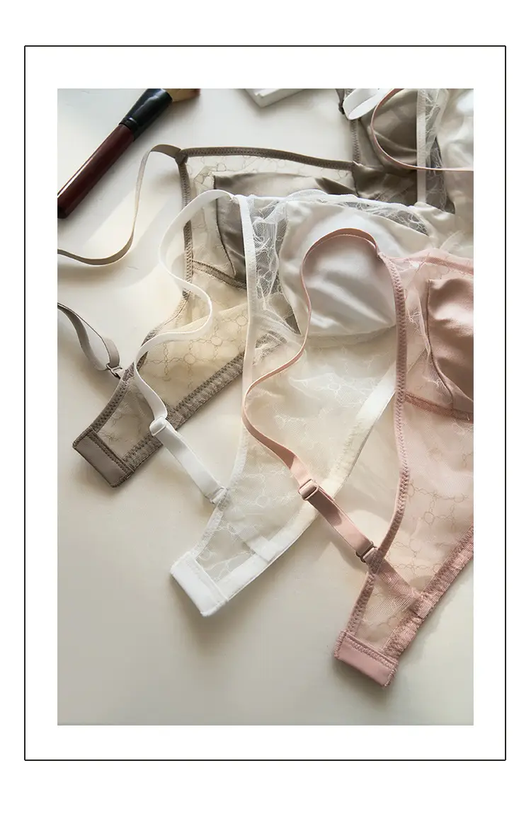 Summer New Style Mulberry Silk Non-steel Ring French Triangle Cup Bra Real Silk Thin Real Silk Underwear Women's Comfortable Bra — feature 4