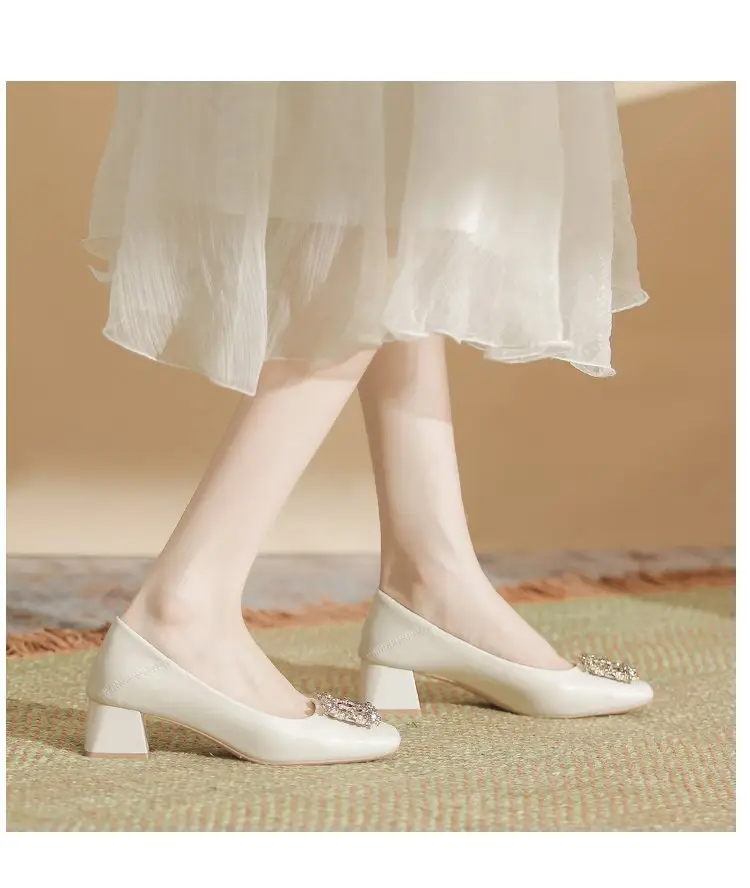 Niche Mary Jane Shoes 2025 Spring New All-match Gentle Late Evening Breeze Women's Skirt High Heels Thick Heel Single-layer Shoes — feature 12