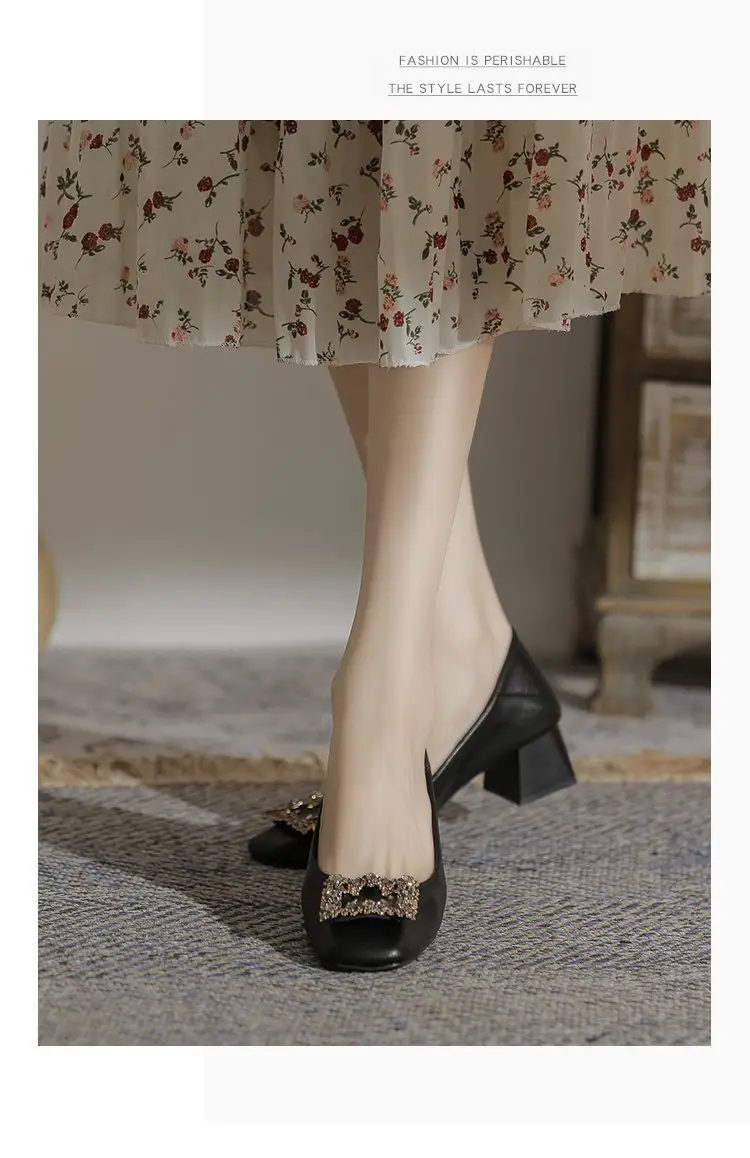 Niche Mary Jane Shoes 2025 Spring New All-match Gentle Late Evening Breeze Women's Skirt High Heels Thick Heel Single-layer Shoes — feature 13