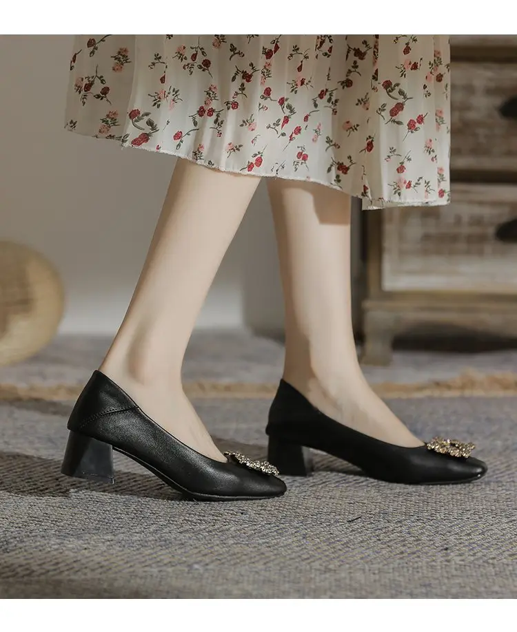 Niche Mary Jane Shoes 2025 Spring New All-match Gentle Late Evening Breeze Women's Skirt High Heels Thick Heel Single-layer Shoes — feature 14
