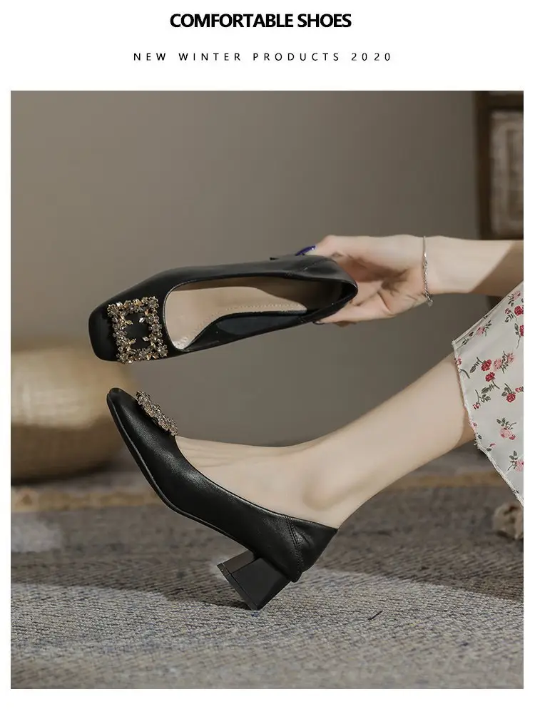 Niche Mary Jane Shoes 2025 Spring New All-match Gentle Late Evening Breeze Women's Skirt High Heels Thick Heel Single-layer Shoes — feature 15