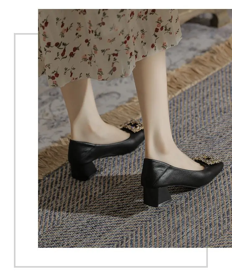 Niche Mary Jane Shoes 2025 Spring New All-match Gentle Late Evening Breeze Women's Skirt High Heels Thick Heel Single-layer Shoes — feature 17