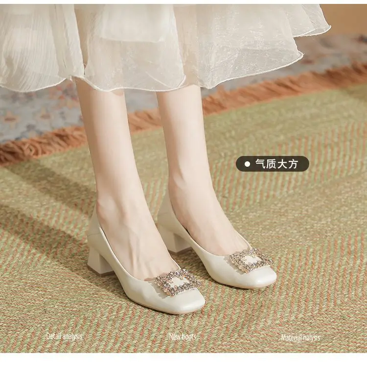 Niche Mary Jane Shoes 2025 Spring New All-match Gentle Late Evening Breeze Women's Skirt High Heels Thick Heel Single-layer Shoes — feature 8