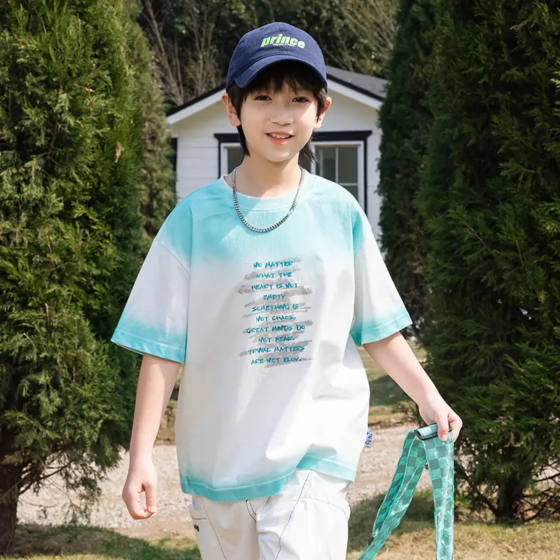 2025 Boys Cotton Panda Gradient T-Shirt Summer Coat - Image 2