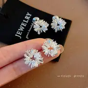 Cold Wind Double Ring Large Earrings Women's 2025 Fashion — feature 18
