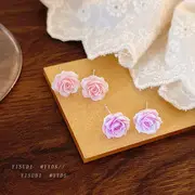 Cold Wind Double Ring Large Earrings Women's 2025 Fashion — feature 20