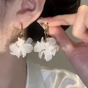 Cold Wind Double Ring Large Earrings Women's 2025 Fashion — feature 35