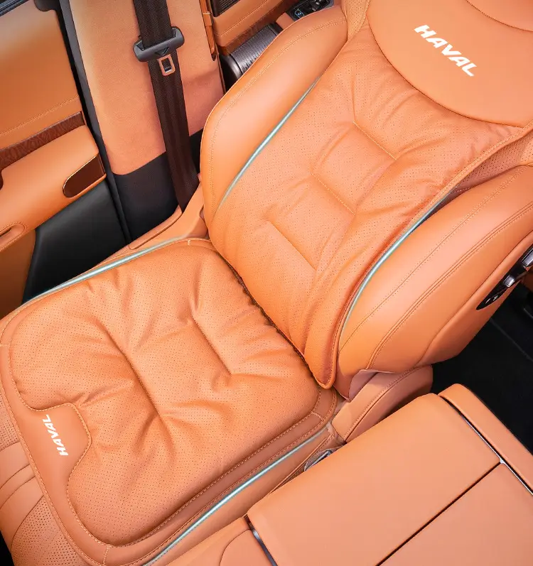 Suitable for Haver Dog H6 Raptors M6 Second Generation Dog H9 Xiaolong max/H5 Summer Four Seasons Car Seat Cover Cushion — feature 11