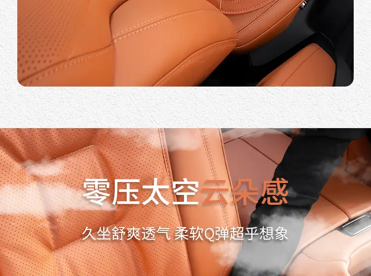 Suitable for Haver Dog H6 Raptors M6 Second Generation Dog H9 Xiaolong max/H5 Summer Four Seasons Car Seat Cover Cushion — feature 17