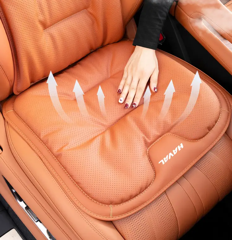 Suitable for Haver Dog H6 Raptors M6 Second Generation Dog H9 Xiaolong max/H5 Summer Four Seasons Car Seat Cover Cushion — feature 18