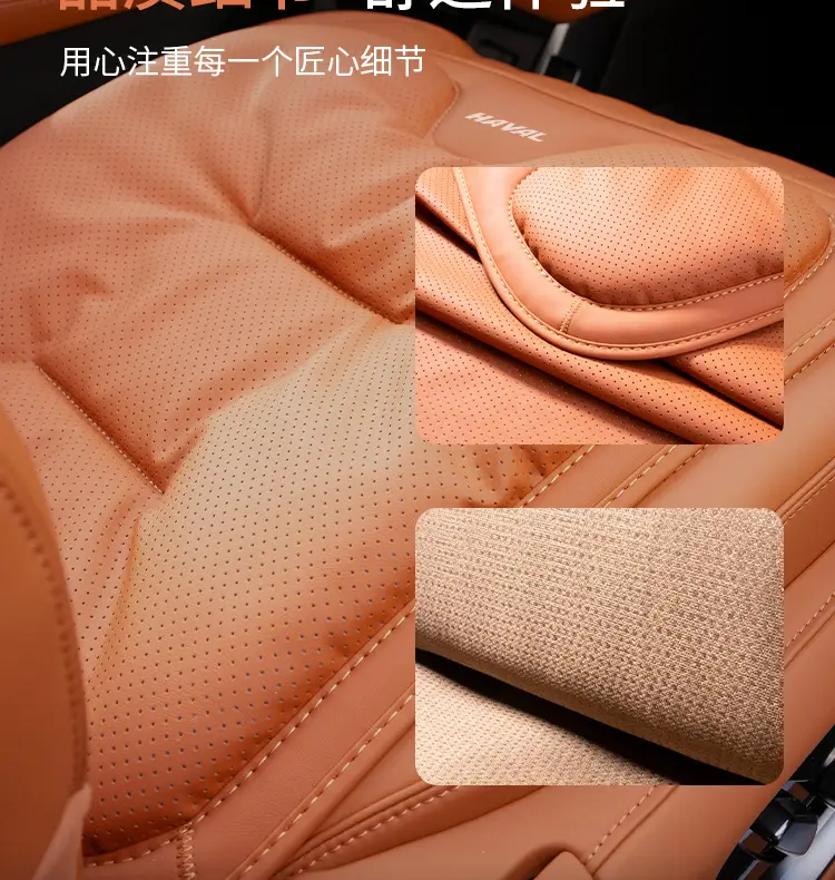 Suitable for Haver Dog H6 Raptors M6 Second Generation Dog H9 Xiaolong max/H5 Summer Four Seasons Car Seat Cover Cushion — feature 23