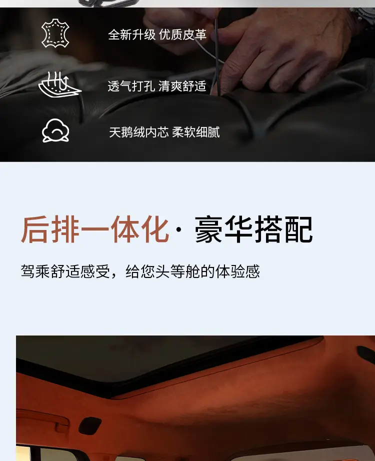 Suitable for Haver Dog H6 Raptors M6 Second Generation Dog H9 Xiaolong max/H5 Summer Four Seasons Car Seat Cover Cushion — feature 5