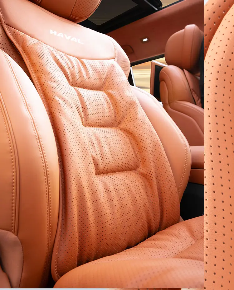 Suitable for Haver Dog H6 Raptors M6 Second Generation Dog H9 Xiaolong max/H5 Summer Four Seasons Car Seat Cover Cushion — feature 8