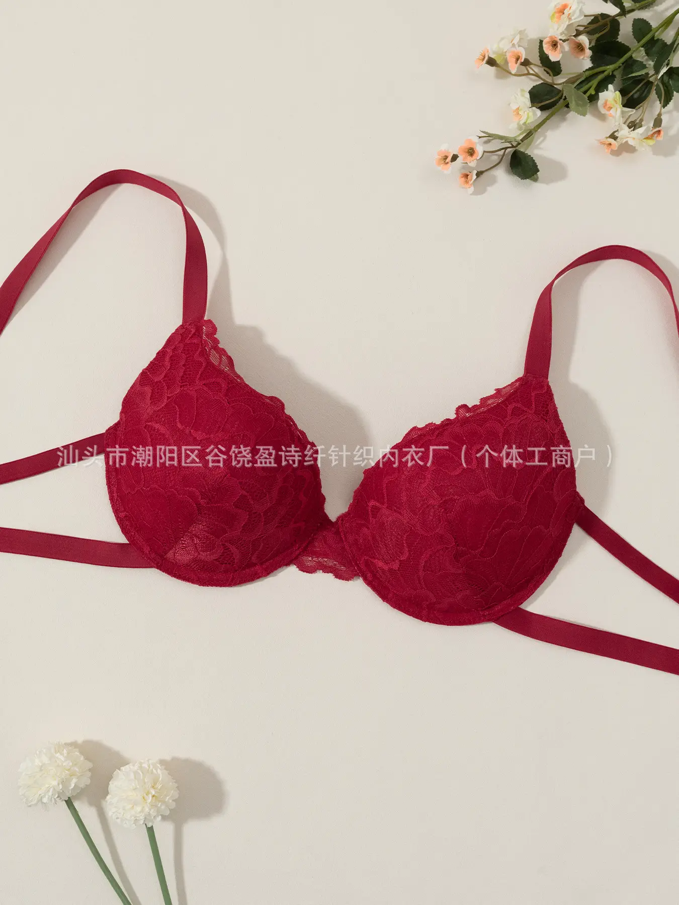 Lace Gathered Bra for Women European American - Image 3