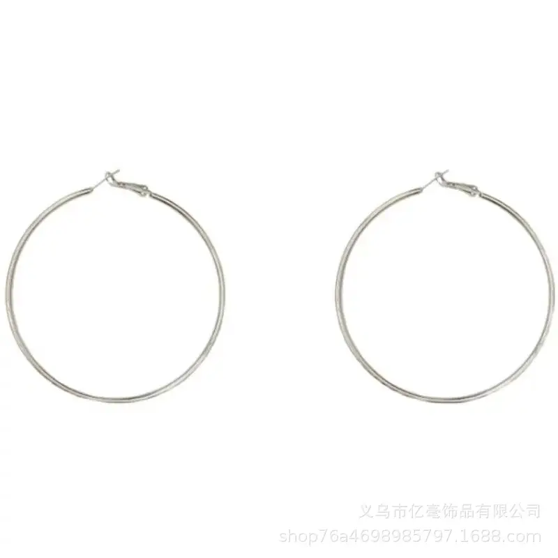 925 Silver Hoop Earrings for Women European American Trendy - Image 5