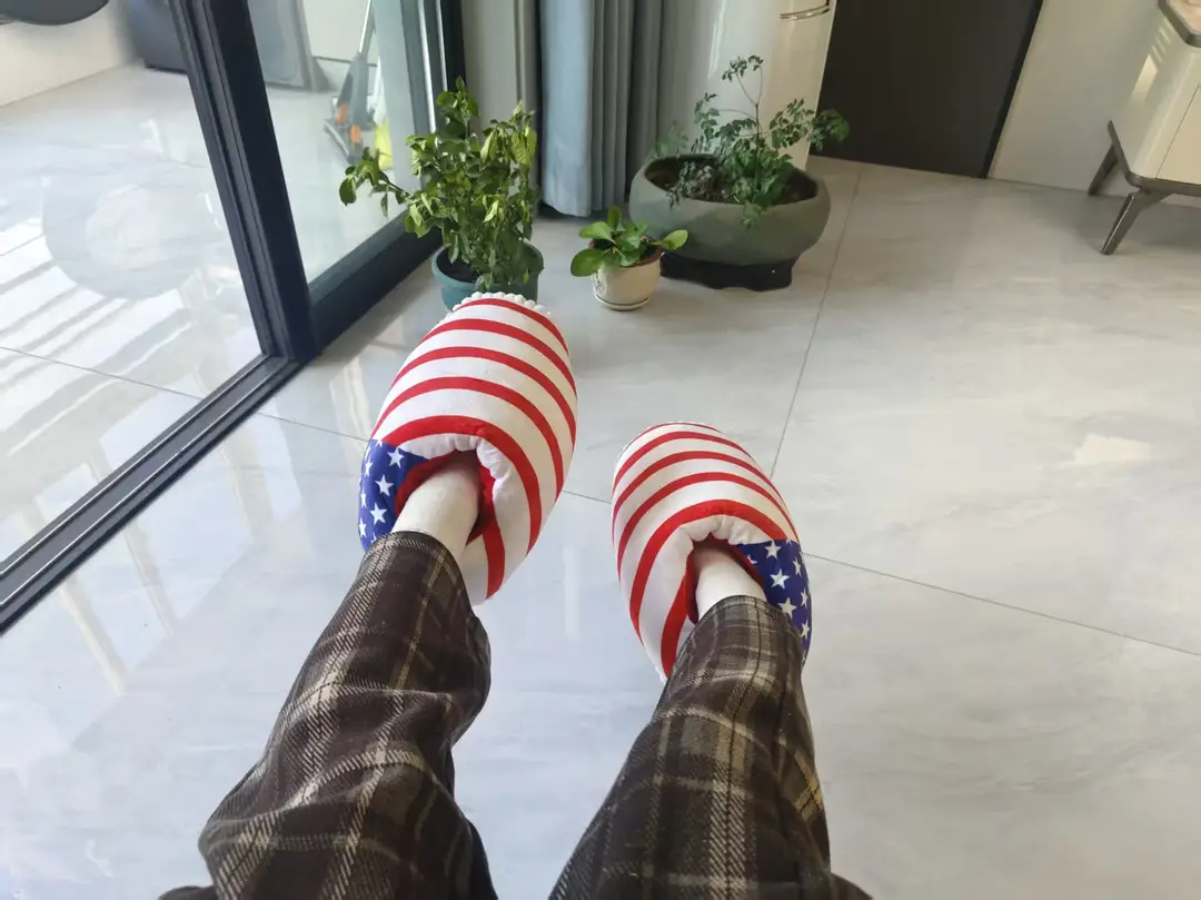 Net red with spoof A4 home shoes fat head cotton slippers coconut shoes back to the future home couple cotton slippers — feature 28