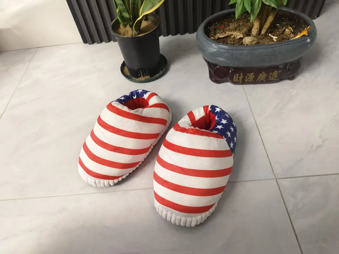 Net red with spoof A4 home shoes fat head cotton slippers coconut shoes back to the future home couple cotton slippers — feature 31