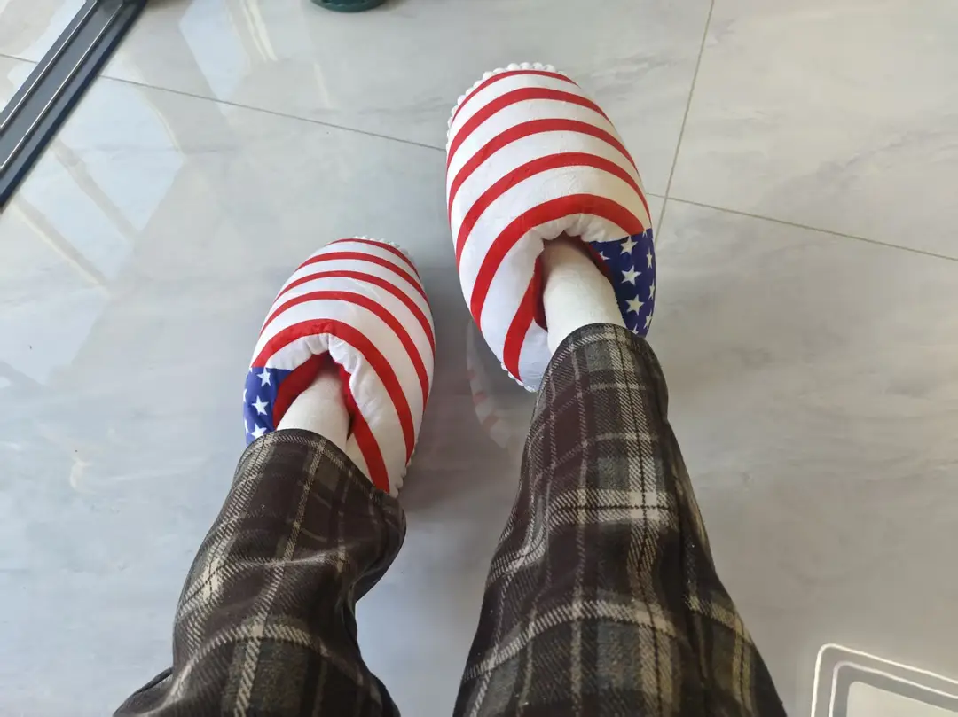 Net red with spoof A4 home shoes fat head cotton slippers coconut shoes back to the future home couple cotton slippers — feature 32