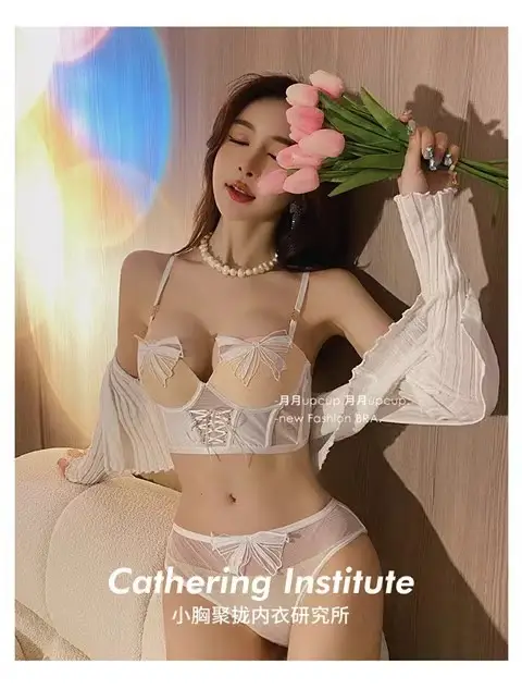 French Lace Bow Mesh Underwire Bra Set for Small Busts — feature 28