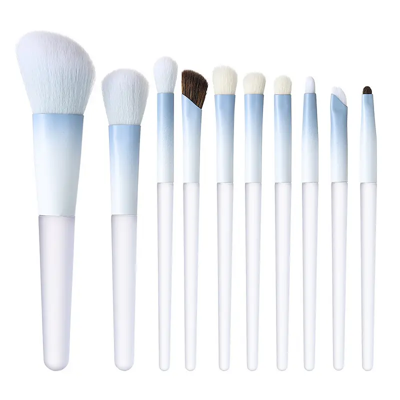 10-Piece Blush, Eye & Shadow Brushes Set for Makeup