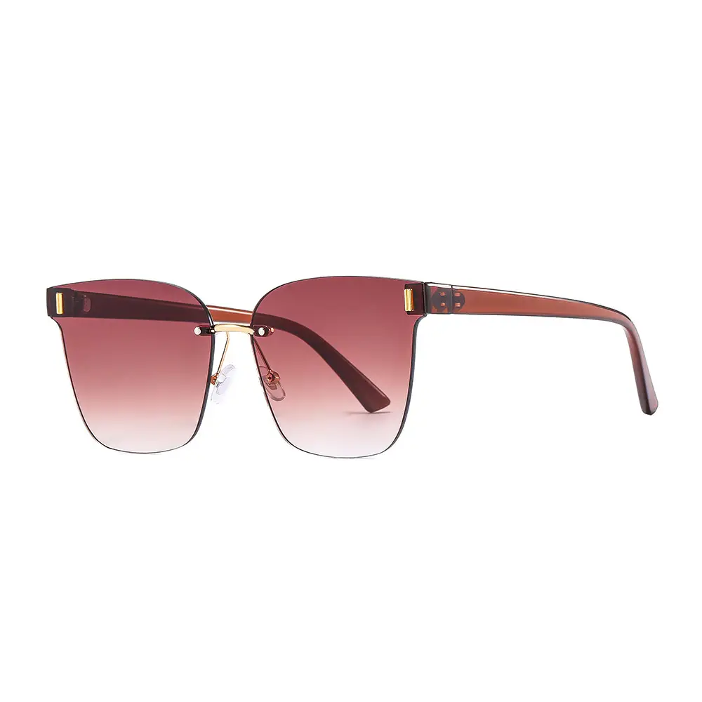 Trendy Anti-UV Brown Sunglasses for Women - Image 5