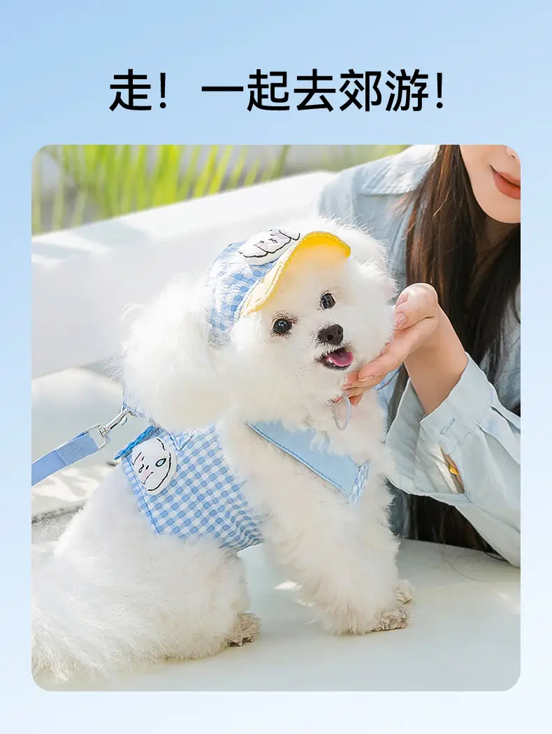 Pet Dog Cat Hat Blue Checkered Sun-Shading Anti-Dew Ear — feature 10