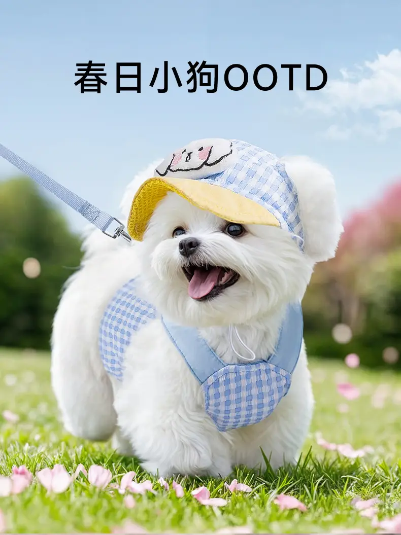 Pet Dog Cat Hat Blue Checkered Sun-Shading Anti-Dew Ear — feature 2