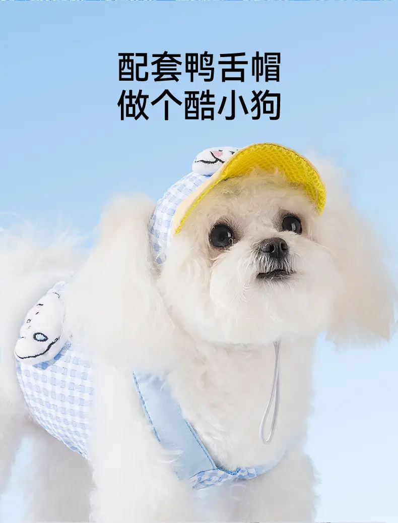 Pet Dog Cat Hat Blue Checkered Sun-Shading Anti-Dew Ear — feature 7