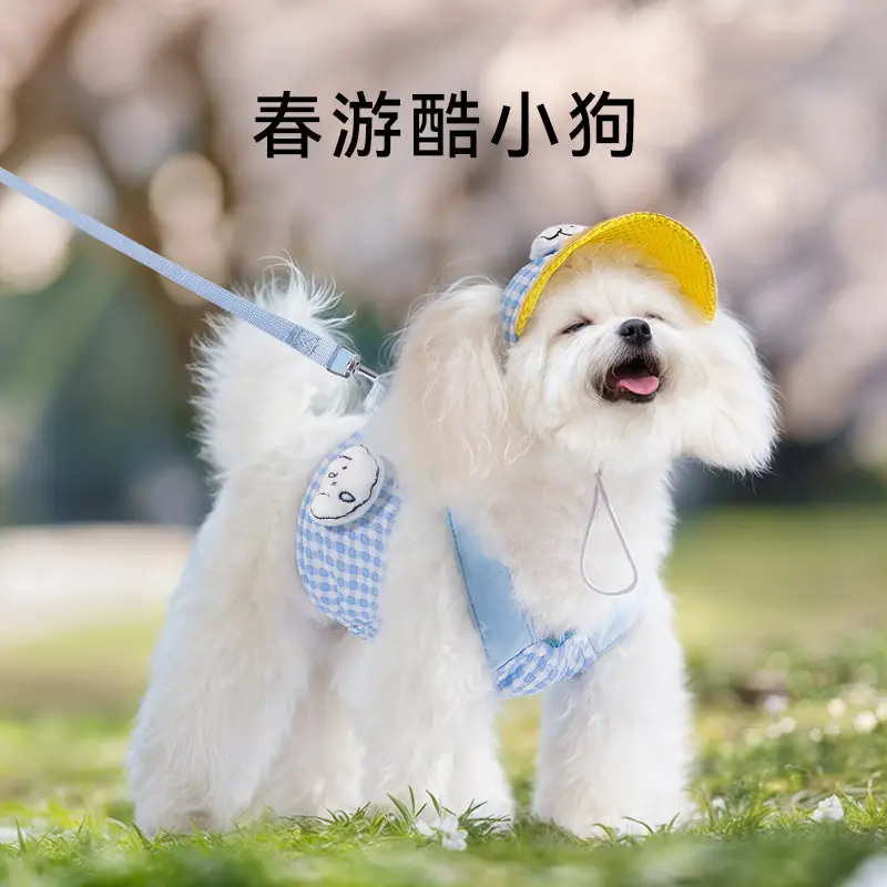 Pet Dog Adjustable Hat Teddy Dog Cap Shade