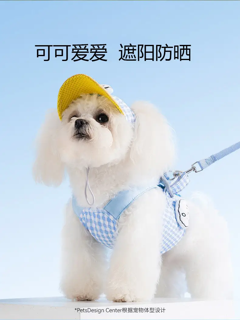 Pet Dog Adjustable Hat Teddy Dog Cap Shade — feature 6