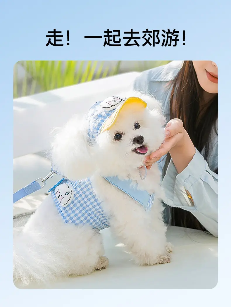 Pet Dog Adjustable Hat Teddy Dog Cap Shade — feature 9