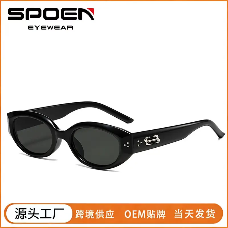 Men's Retro Black Frame Sunglasses 2025 - Image 9