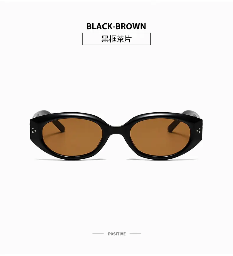 Men's Retro Black Frame Sunglasses 2025 — feature 15