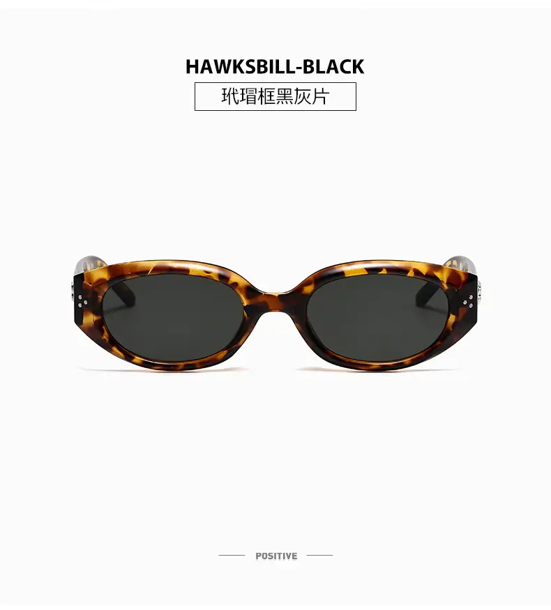 Men's Retro Black Frame Sunglasses 2025 — feature 27